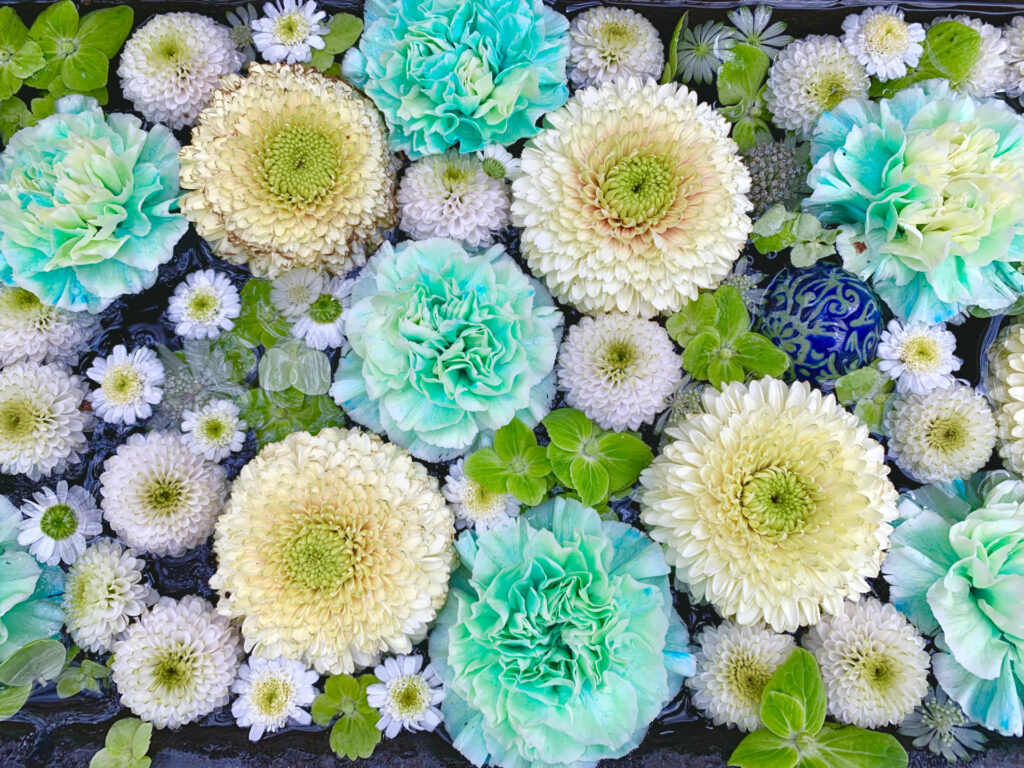 Amani Nest、1周年を迎えました